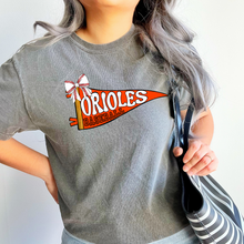 Load image into Gallery viewer, Baltimore baseball apparel-pennant flag-gray

