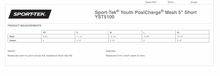 Load image into Gallery viewer, Sport-Tek® Youth PosiCharge® Mesh 5” Short CC Phoenix
